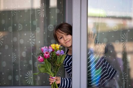 Child, boy holding pink tulip flowers, hiding behind window, mothers day gift conceptの写真素材