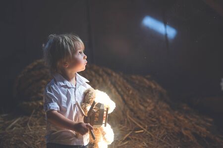 Little toddler blond boy, playing with wooden plane and teddy bear in the attic, nice atmosphere, flowers and strawberries next to himの写真素材