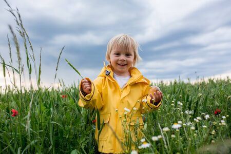 Sweet child, blond boy, playing in poppy field before storm, dramatic sky, enjoying fresh spring eveningの写真素材