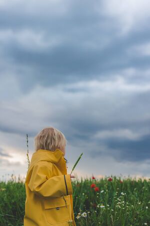 Sweet child, blond boy, playing in poppy field before storm, dramatic sky, enjoying fresh spring eveningの写真素材