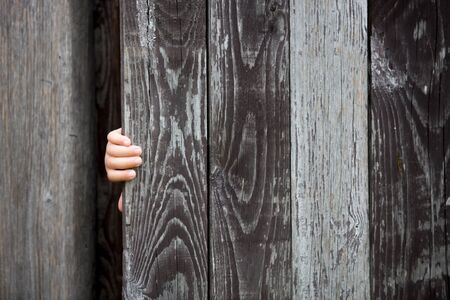 Little toddler child, blond boy, holding rose hiding behind ols wooden doorの写真素材
