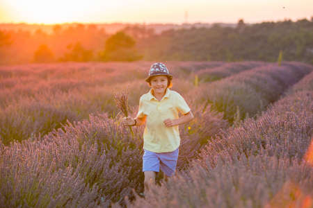 Cute little child, beautiful boy, playing in lavender field on sunsetの写真素材