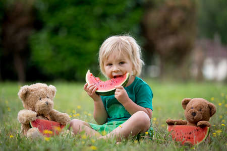 Cute little toddler child, blond boy, eating watermelon in the park with some teddy bear friendの写真素材