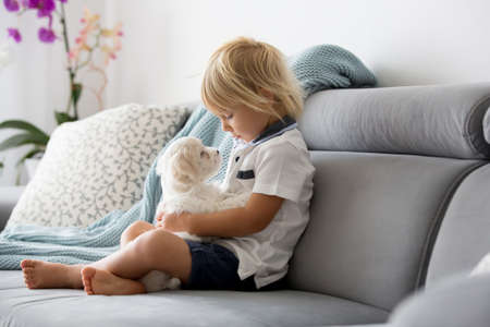 Cute little blond child, toddler boy, playing with white puppy maltese dog at homeの写真素材