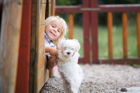 Cute toddler child with white maltese puppy, playing in the park, walking and riding tricycleの写真素材
