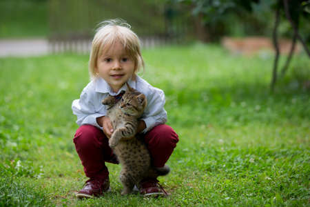 Cute child, boy, playing with little brown kitten in the park before schoolの写真素材