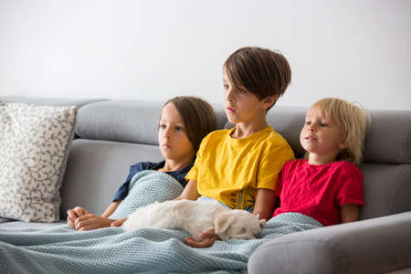 Cute children, brothers watching TV with little puppy dog, lying on the sofa with soft blanket, cuddlingの写真素材