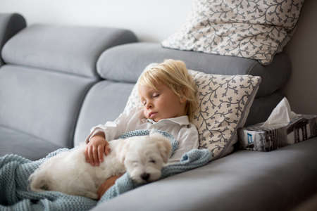 Sick child, toddler boy lying on the couch with his white puppy in living room with fever, resting...