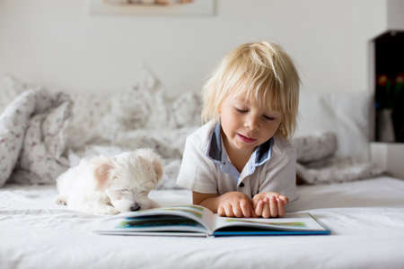 Cute little blond child, toddler boy, reading book with white puppy maltese dog at homeの写真素材