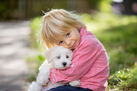 Child, cute boy, playing with dog pet in the park, maltese dog and kid enjoying walk together