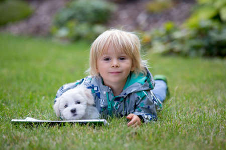 Little toddler child, blond boy, playing with little maltese puppy dog in garden autumn time