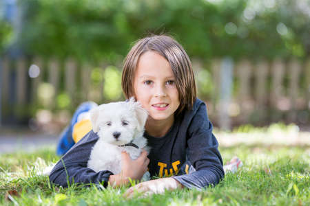 Child, cute boy, playing with dog pet in the park, maltese dog and kid enjoying walk together