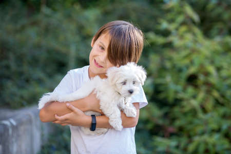 Child, cute boy, playing with dog pet in the park, maltese dog and kid enjoying walk togetherの写真素材