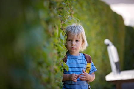 Beautiful portrait of a toddler child, blond boy, standing next to a flower bush in a parkの写真素材