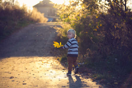 Beautiful toddler boy, walking on rural path on sunset, backlit with sunlightの写真素材