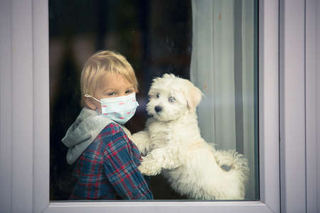 Little blond toddler child and maltese puppy dog, sitting at home with medical mask, behind the...