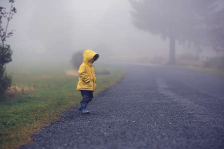 Cute blond toddler child, boy, playing in the rain with umbrella on a foggy autumn day on a rural roadの写真素材