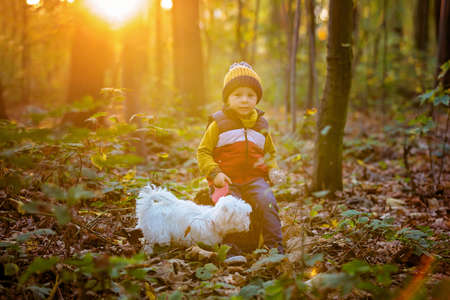 Cute toddler child, boy, holding mushroom in forest, musroom picking seasonの写真素材
