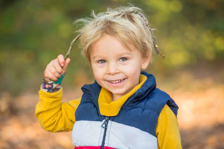 Cute toddler child, boy, playing in forest on sunny autumn day