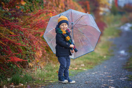 Sweet toddler blond child, cute boy, playing in autumn park with colofrul trees and bushes on a rainy dayの写真素材
