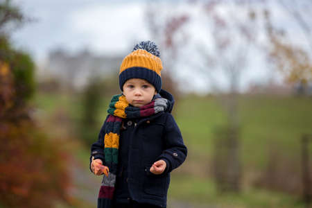 Sweet toddler blond child, cute boy, playing in autumn park with colofrul trees and bushes on a rainy dayの写真素材