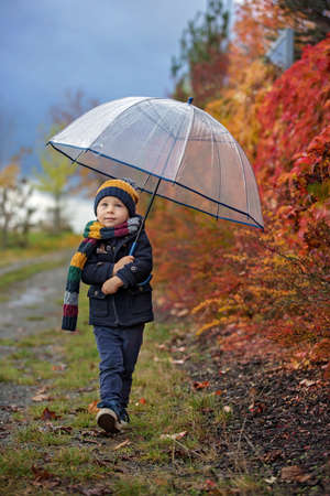 Sweet toddler blond child, cute boy, playing in autumn park with colofrul trees and bushes on a rainy dayの写真素材