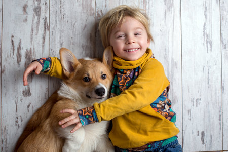 Toddler child and dog, boy and puppy playing together at home, studio shotの写真素材
