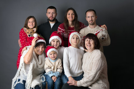 Extended family Christmas portrait, three generation family - grandparents, children, siblings, dogs
