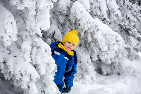 Sweet happy child, playing in deep snow in forestの写真素材