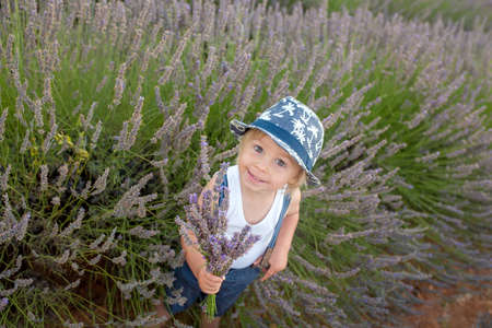 Cute little child, beautiful boy, playing in lavender field on sunsetの写真素材