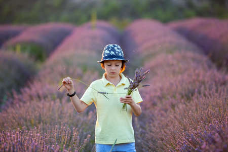 Cute little child, beautiful boy, playing in lavender field on sunsetの写真素材