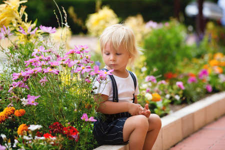 Cute toddler blond boy, sitting on sidewalk next to blooming flowers, summertime