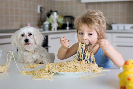 Little blond boy, toddler child, eating spaghetti for lunch and making a mess at home in kitchen, little maltese puppy dog sitting next to him and watching himの写真素材