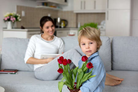 Child, toddler boym holding flowers for mother for her holiday, mothers day, red tulips in a...