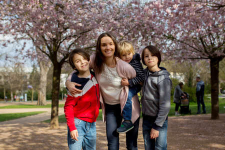 Happy children, siblings in pink blooming sacura garden, playing happilyの写真素材