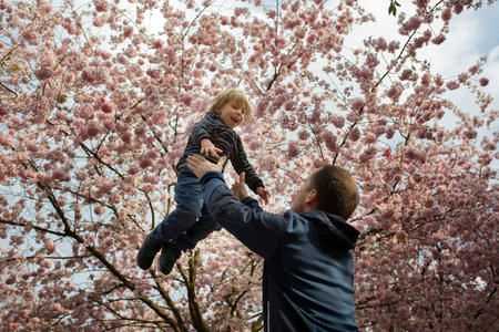 Cute toddler child, boy playing happily in pink blooming sacura garden, springtimeの写真素材