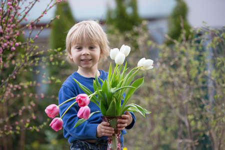 Little toddler blond boy, child, holding vase with tulips for mom, gift for Mother's day from boy
