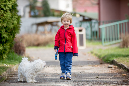 Cute toddler boy with red jacket, walking his little pet dog friend in the parkの写真素材