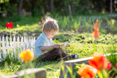 Beautiful blond toddler child, cute boy in shirt, reading book in garden on sunset, nice soft back lightの写真素材