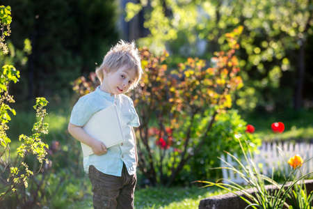 Beautiful blond toddler child, cute boy in shirt, reading book in garden on sunset, nice soft back lightの写真素材