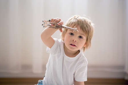 Blond child, toddler boy, playing with plastic animal toys at home, soft back lightの写真素材