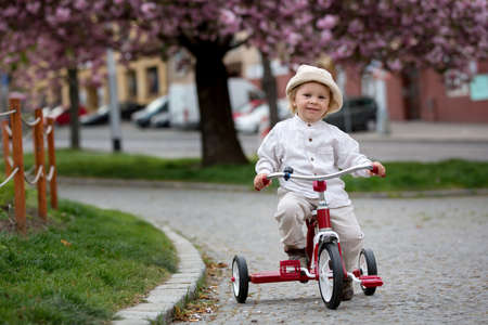 Child, boy in spring park with blooming magnolia trees on sunsetの写真素材