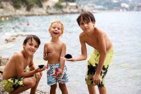 Cute child, blond toddler boy, holding sea urchin on the beach, summertimeの写真素材