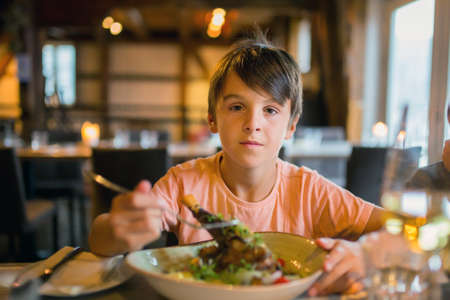 Preteen child, cute boy, eating lamb in a restaurant, cozy atmosphere, local small restaurant in Tromso, Northern Norwayの写真素材