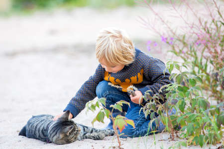 Beautiful blond toddler child with little cat on the beach, hugging, friendship between kid and pet kittenの写真素材