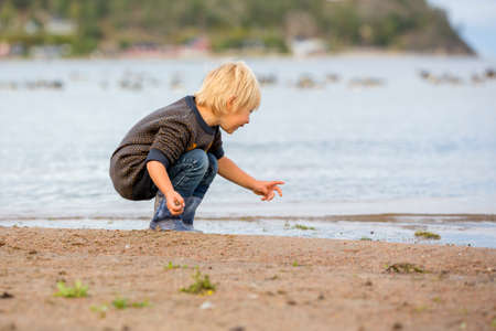 Little child, playing on an empty beach on Baltic sea, cold weather, Swedenの写真素材