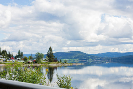 Beautiful landscape in Norway with fjords, trees and beautiful sky, summertime
