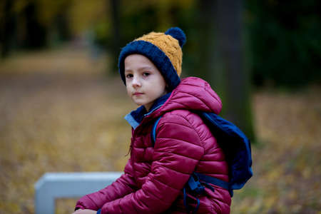 Preschool child, boy, sneezing in park, flu and illness seasonの写真素材