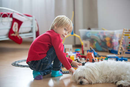Cute child, playing with colorful toy blocks. Little boy building house of block toys sitting on the floor in sunny spacious bedroom. Educational game for toddlersの写真素材