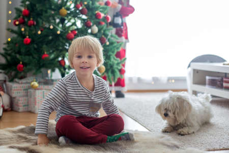 Beautiful toddler child, sitting in front of  Christmas tree, decoration and presents around himの写真素材